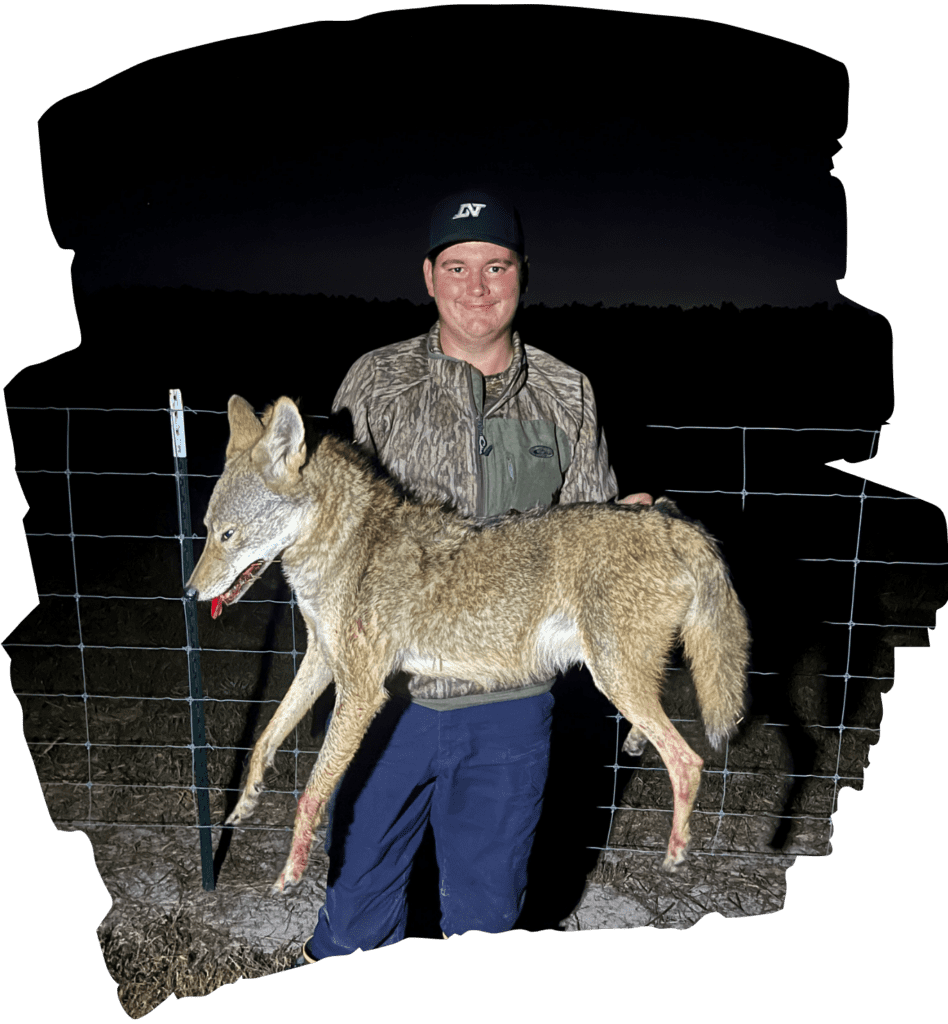 Mareno Coyote Hunting