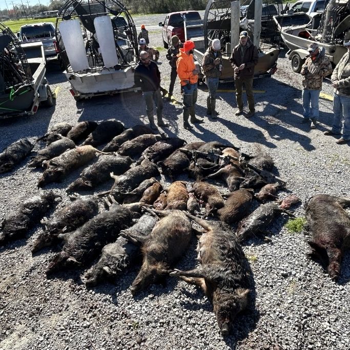 Mareno's Outfitters Gallery (13)