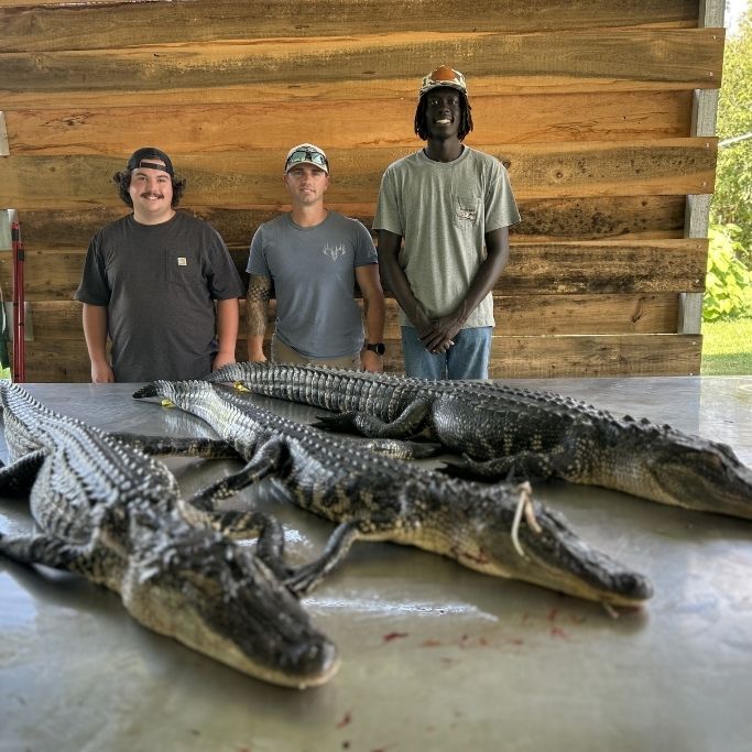 Mareno's Outfitters Gallery (9)