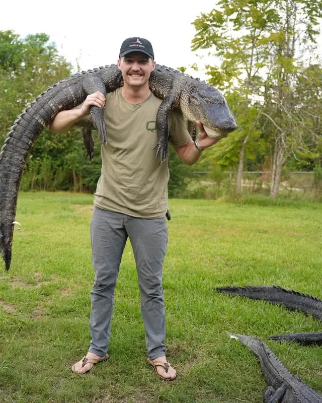 Hunter carrying an alligator across his shoulders with more gators laid out behind him