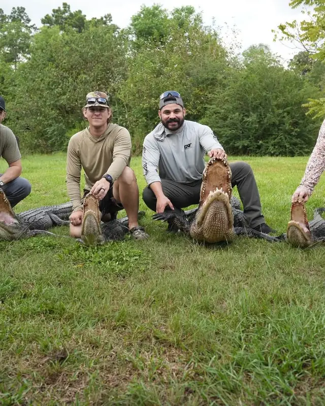 Group of hunters with four alligators taken on a guided Louisiana hunt