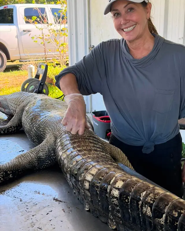 Alligator meat cleaning at the processing station after a Louisiana hunt
