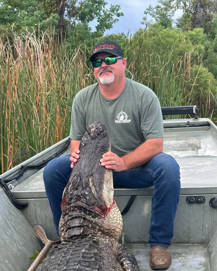 Large alligator laid across the deck of a jon boat on a Louisiana gator hunt