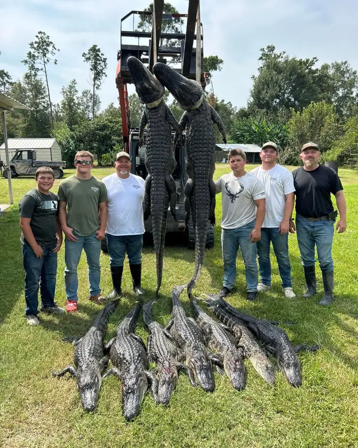 Group of hunters with a trophy alligator hoisted after a guided Louisiana hunt